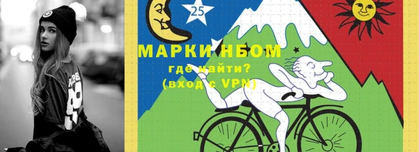 гашик Горняк