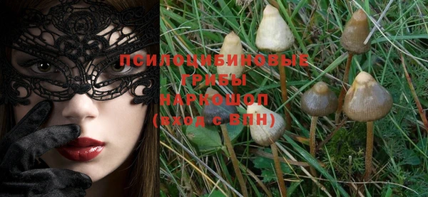 гашик Горняк