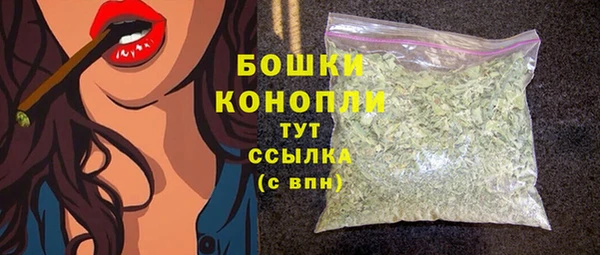 гашик Горняк