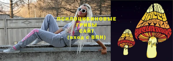 гашик Горняк