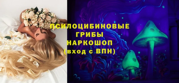 амф Горнозаводск